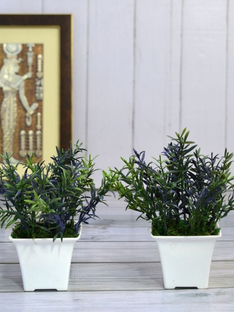 

fancy mart Set Of 2 Green & White Artificial Spery Grass With Gamla Pots