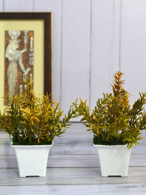 

fancy mart Set Of 2 Green & Yellow Artificial Spery Grass In Gamla Pots