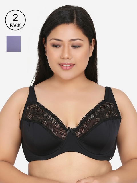 

Curvy Love Plus Size Black Purple Solid Underwired Lightly Padded Plunge Bra Pack of 2