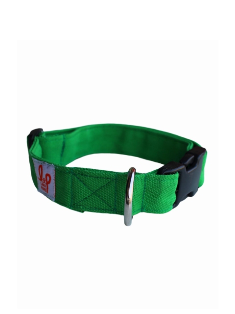 

LANA PAWS Green Solid Dog Collar