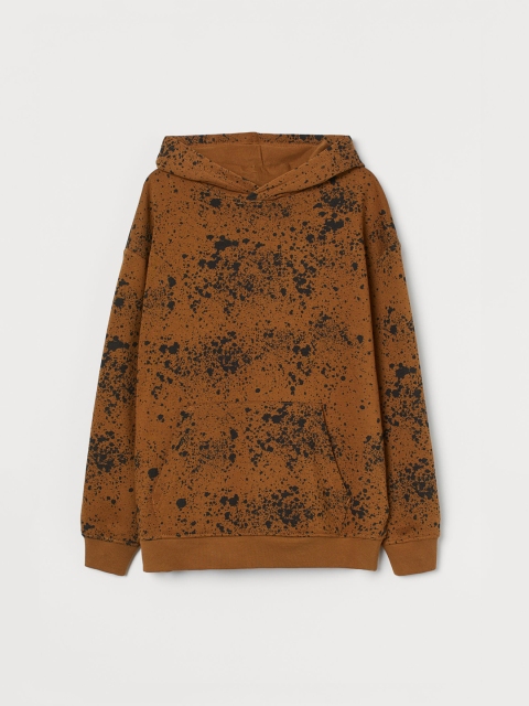 

H&M Boys Brown Printed Hooded Top