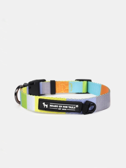 

Heads Up For Tails Blue & Orange Colourblocked Follow The Rainbow Rainbow Dog Collar