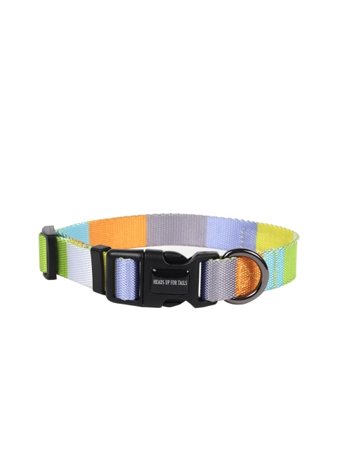 

Heads Up For Tails Rainbow Colourblocked Dog Collar, Orange