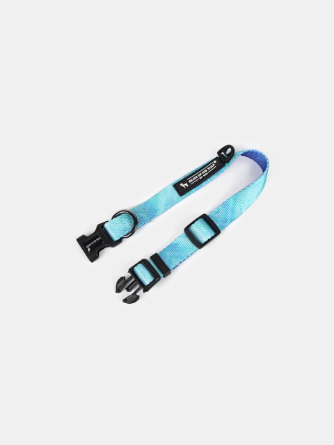 

Heads Up For Tails Turquoise Blue & Black Solid Summer Sky Dog Collar