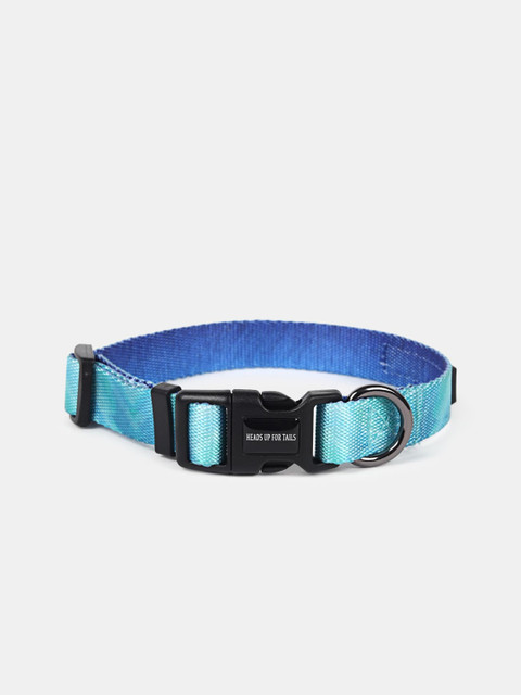 

Heads Up For Tails Turquoise Blue Solid Dog Collar