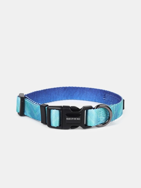 

Heads Up For Tails Turquoise Blue Self-Design Summer Sky Dog Collar
