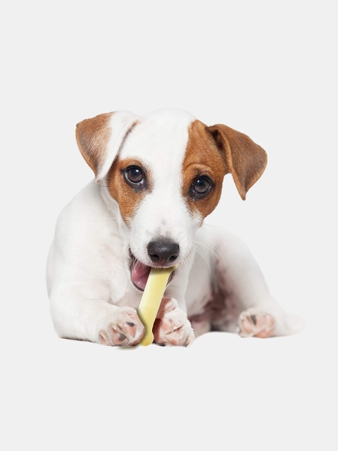 

Nylabone Coffee Brown Puppy Chew Bone Dog Toy