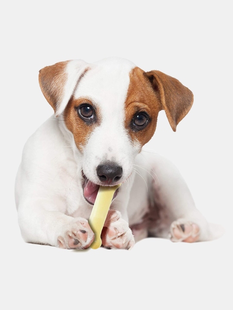 

Nylabone Coffee Brown Dog Souper Chicken Flavored Bone Chew Toy