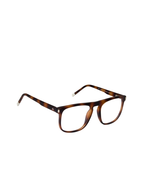 

David Blake Unisex Brown Tortoise Shell Full Rim Wayfarer Frames EWDB2368MWZKM005C3