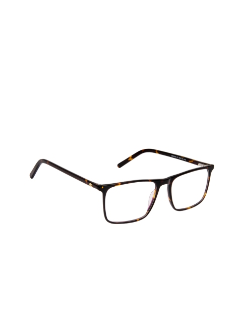 

David Blake Unisex Brown Tortoise Shell Full Rim Rectangle Frames EWDB2413MWZDB8006C2