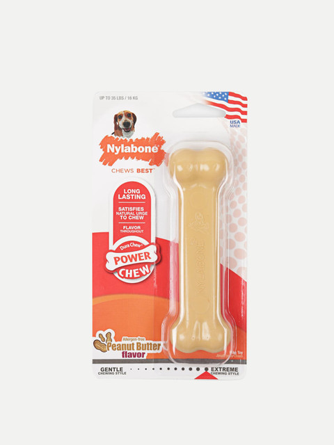 

Nylabone Cream-Coloured Solid Dura Petite Chew Bone Dog Toy