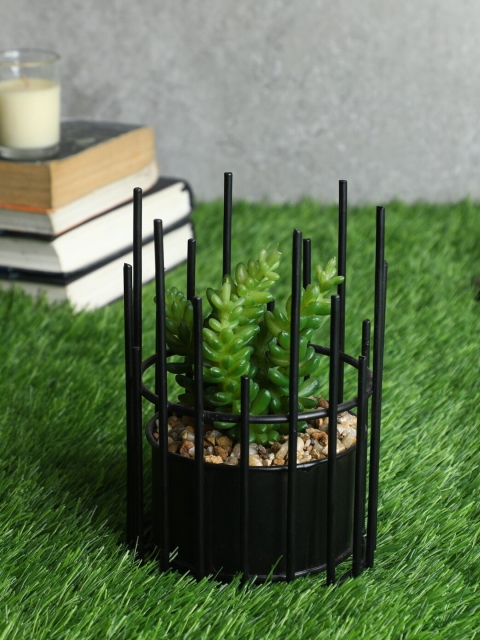 

PolliNation Green & Black Artificial Succulent Bonsai Plant With Pot