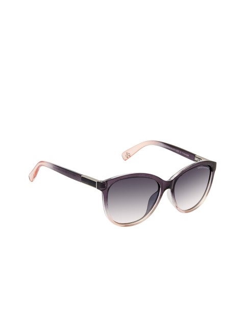 

David Blake Women Cateye Sunglasses N_SGDB2031, Purple