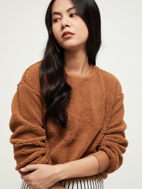 

max Women Brown Solid Pullover Sweater