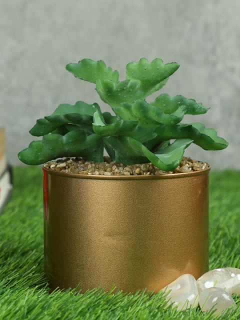 

PolliNation Green & Gold-Toned Artificial Succulent Bonsai Plant With Pot