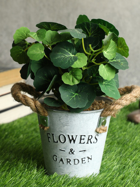 

PolliNation Green & White Artificial Photosphila Bonsai Plant With Pot