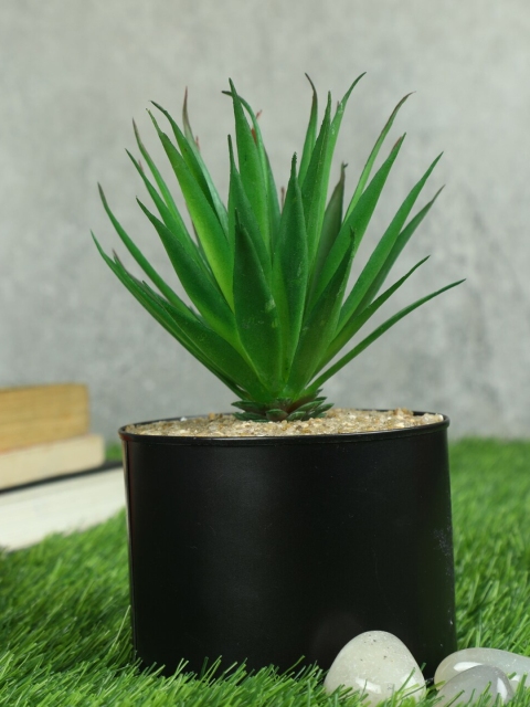 

PolliNation Green & Black Artificial Succulent Bonsai Plant With Pot