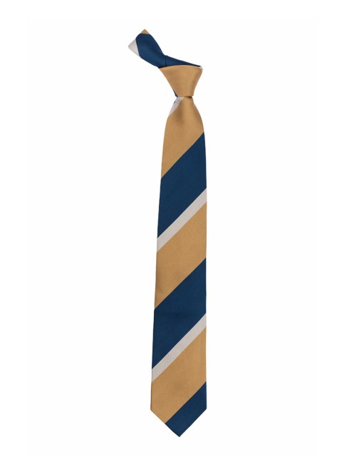 

The Tie Hub Beige & Navy Blue Striped Broad Tie