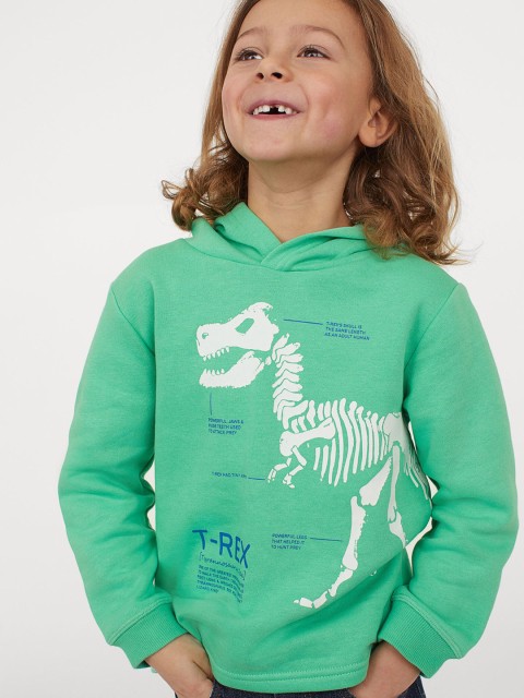 

H&M Boys Green Printed Hoodie
