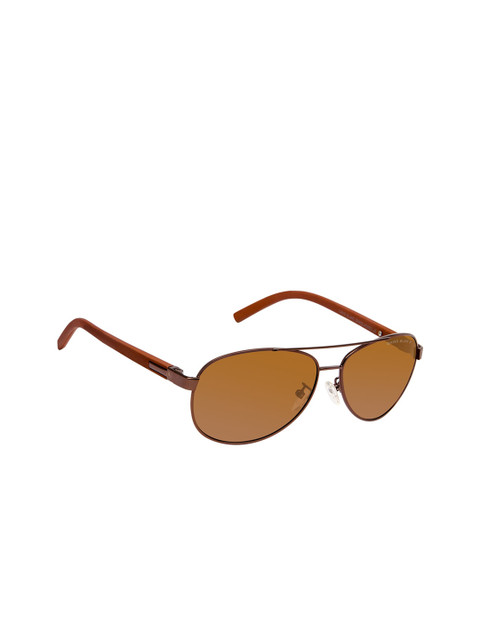 

David Blake Unisex Brown Aviator Sunglasses With Polarised & UV Protected Lens M_SGDB1459