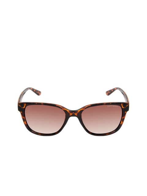 

David Blake Unisex Brown Wayfarer Sunglasses With Polarised & UV Protected Lens M_SGDB2051
