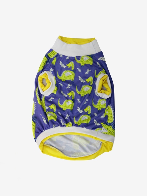 

Pawsindia Blue & Yellow Darcarys Graphic Printed Dog T-Shirt