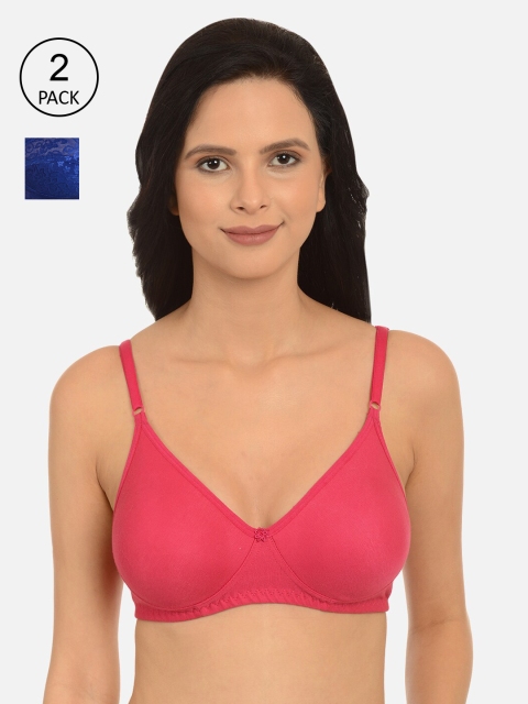 

mod & shy Pack of 2 Assorted Solid Non-Wired Non Padded Everyday Bra MS12883M