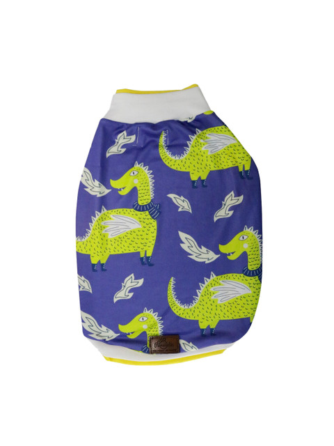 

Pawsindia Blue & Green Darcarys Printed Dog T-Shirt