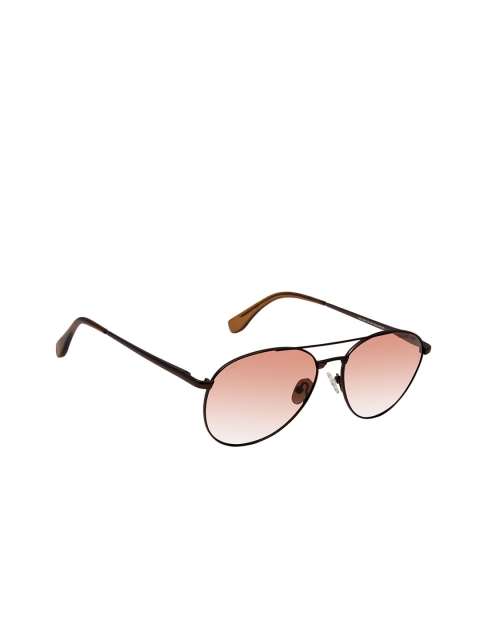 

David Blake Unisex Pink Lens & Brown Aviator Sunglasses With