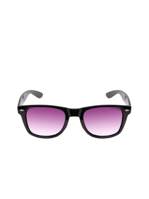 

David Blake Unisex Purple Lens & Black Wayfarer Sunglasses With