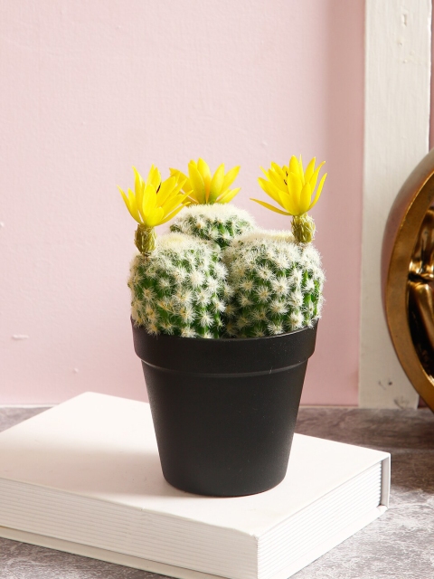 

TAYHAA Green & Yellow Artificial Cactus Plant With Black Pot