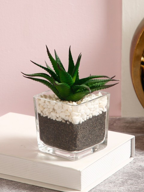 

TAYHAA Green Artificial Plant with Transparent Pot