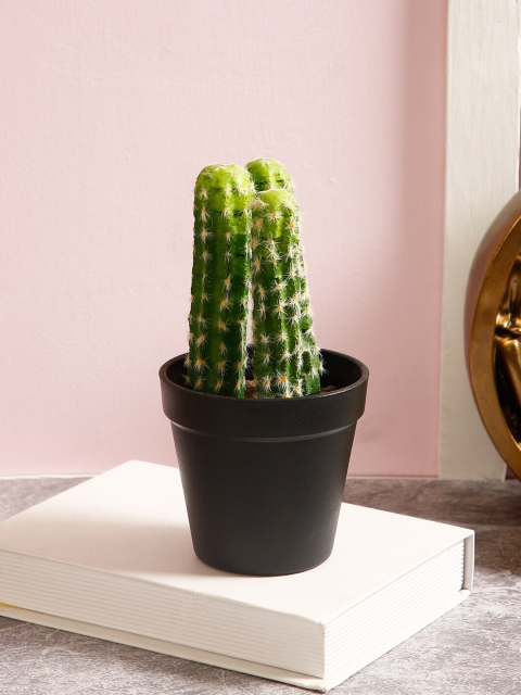 

TAYHAA Green & Black Artificial Cactus Plant With Pot