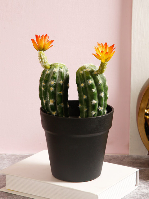 

TAYHAA Green & Black Artificial Cactus Plant In Pot
