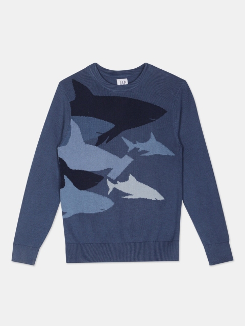 

GAP Boys Blue Printed Pullover Sweater
