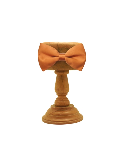 

The Tie Hub Rust Solid Bow Tie