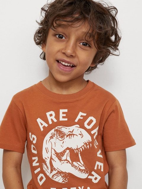 

H&M Boys Brown Printed T-shirt