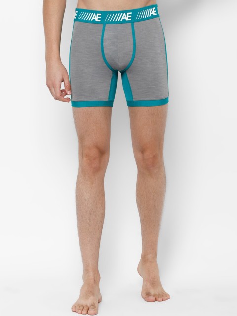 

AMERICAN EAGLE OUTFITTERS Men Grey & Blue Solid Basic Briefs WEA0231981006