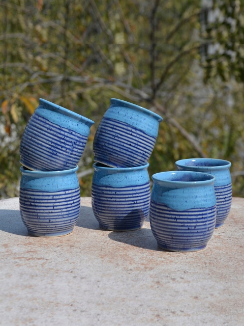 

StyleMyWay Blue Set of 6 Printed Ceramic Kulladhs