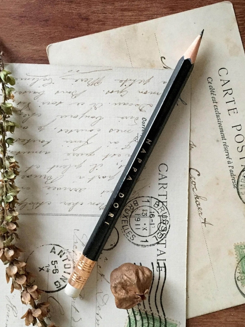 

NAPPADORI Set of 6 Black & Gold-Toned Solid Sustainable Pencils