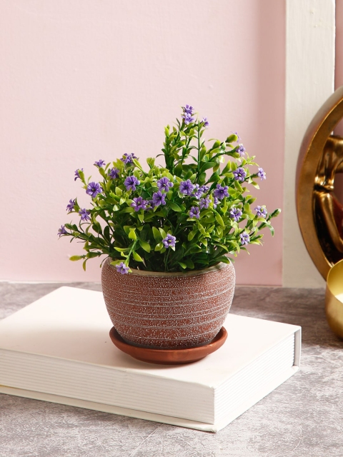 

Aapno Rajasthan Brown Textured Ceramic Planter