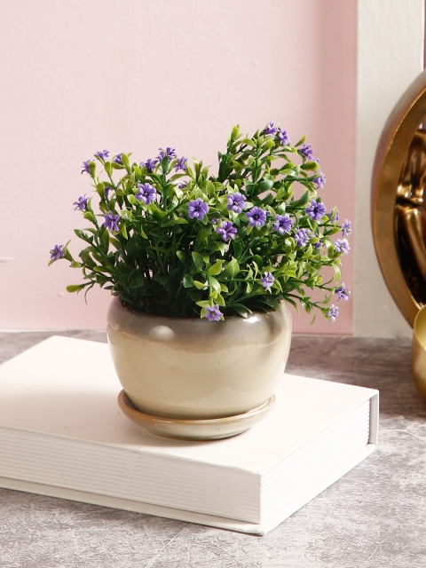 

Aapno Rajasthan Beige Solid Indoor Ceramic Planter Pot