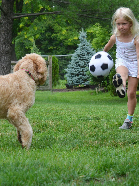 

PETS EMPIRE White & Black Football Shaped Fluffy Stuffed Plush Dog Toy