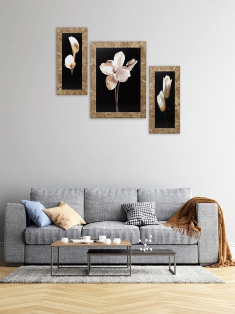 

Indianara Set Of 3 Black & Beige Flowers Framed Art Prints Without Glass