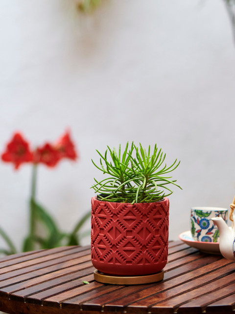 

Chumbak Red Carved Cement Planter
