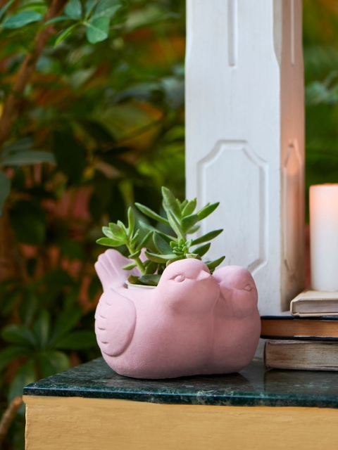 

Chumbak Pink Solid Sparrow Pair Planter