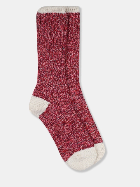 

GAP Women Red Colourblocked Above Ankle Socks