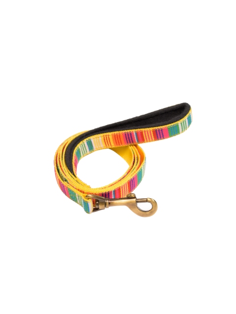 

PETWALE Multicoloured Striped Leash with Padded Handle -Small, Multi
