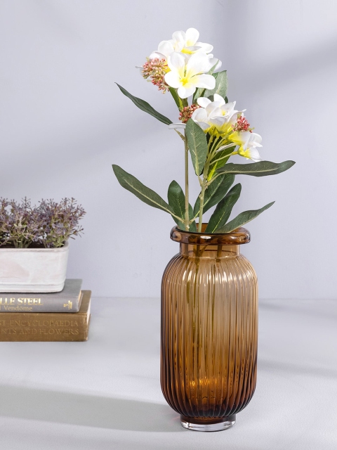 

Pure Home and Living Brown Clear Ribbed Vase