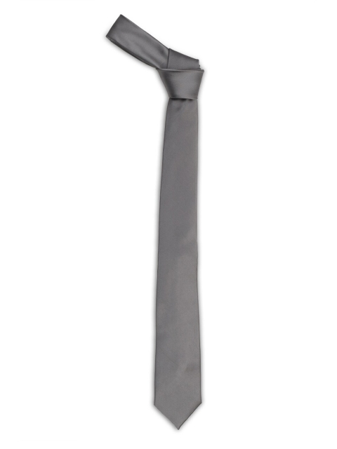 

Van Heusen Men Grey Solid Tie